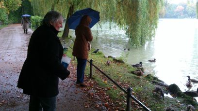 Feeding the ducks